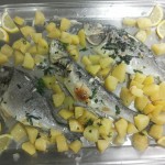 10945625_809060702475834_1281637998166372123_n